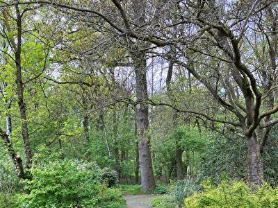 vanaf Villa Schoolthoff wandel je direct het bos in